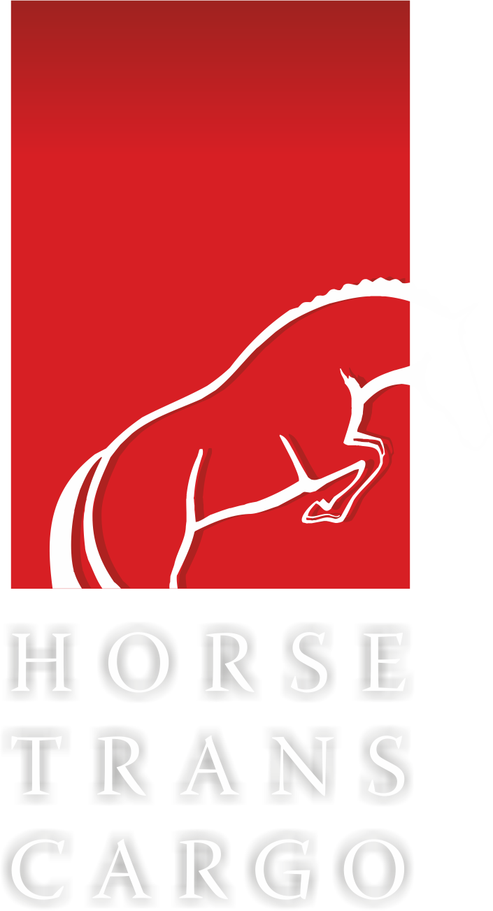 HorseTrans Brand Kit And Logos