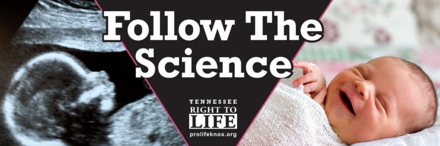 Tennessee Right To Life Brand Kit And Logos