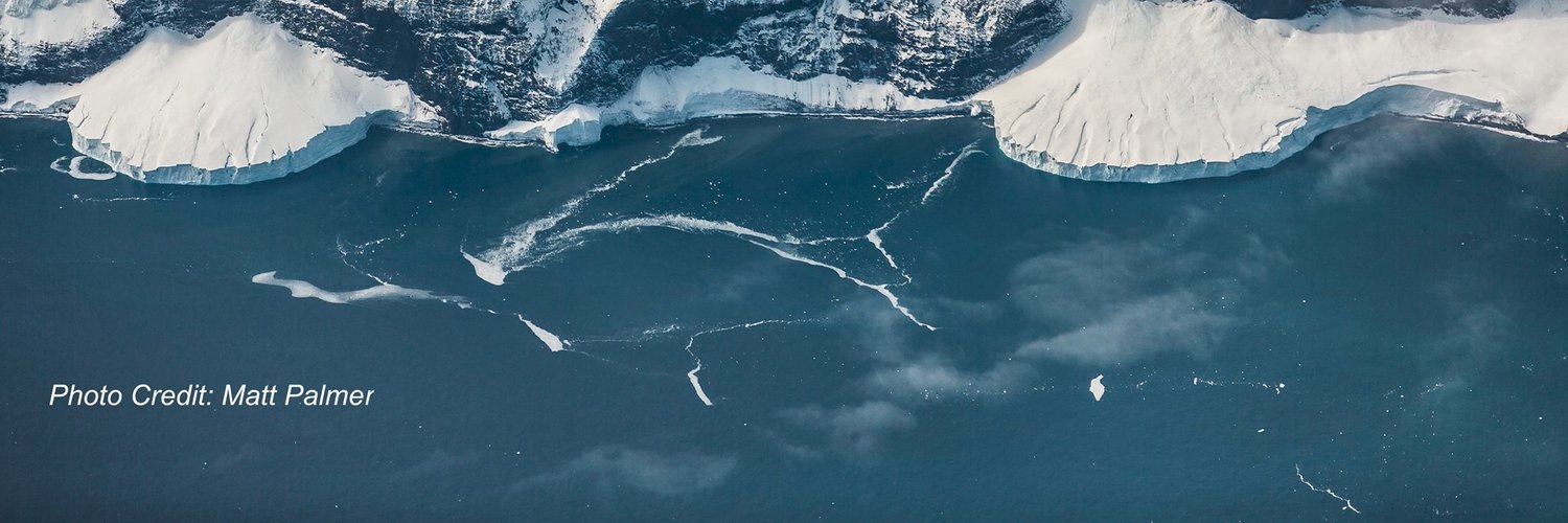 Antarctic And Southern Ocean Coalition Brand Kit And Logos