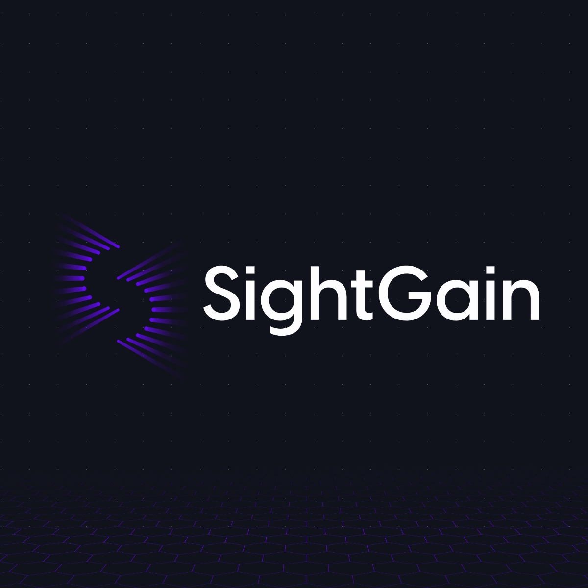 SightGain Brand Kit And Logos