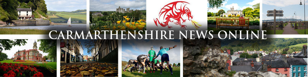 Carmarthenshire News Online - Local And National News For Carmarthenshire Brand Kit And Logos