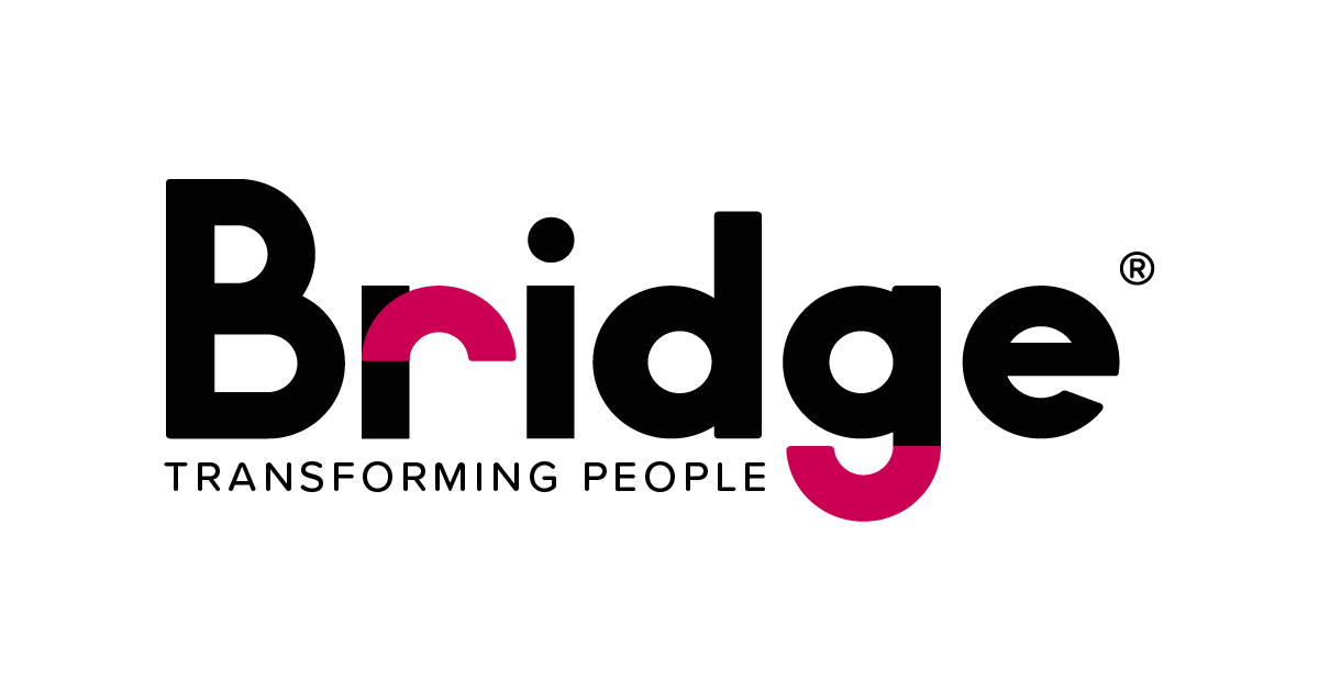 Bridge Partners® Brand Kit And Logos