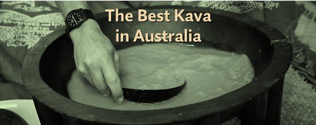 The Best Kava Brand Kit And Logos