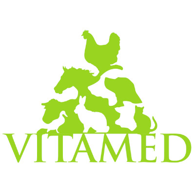 Vitamed Brand Kit And Logos