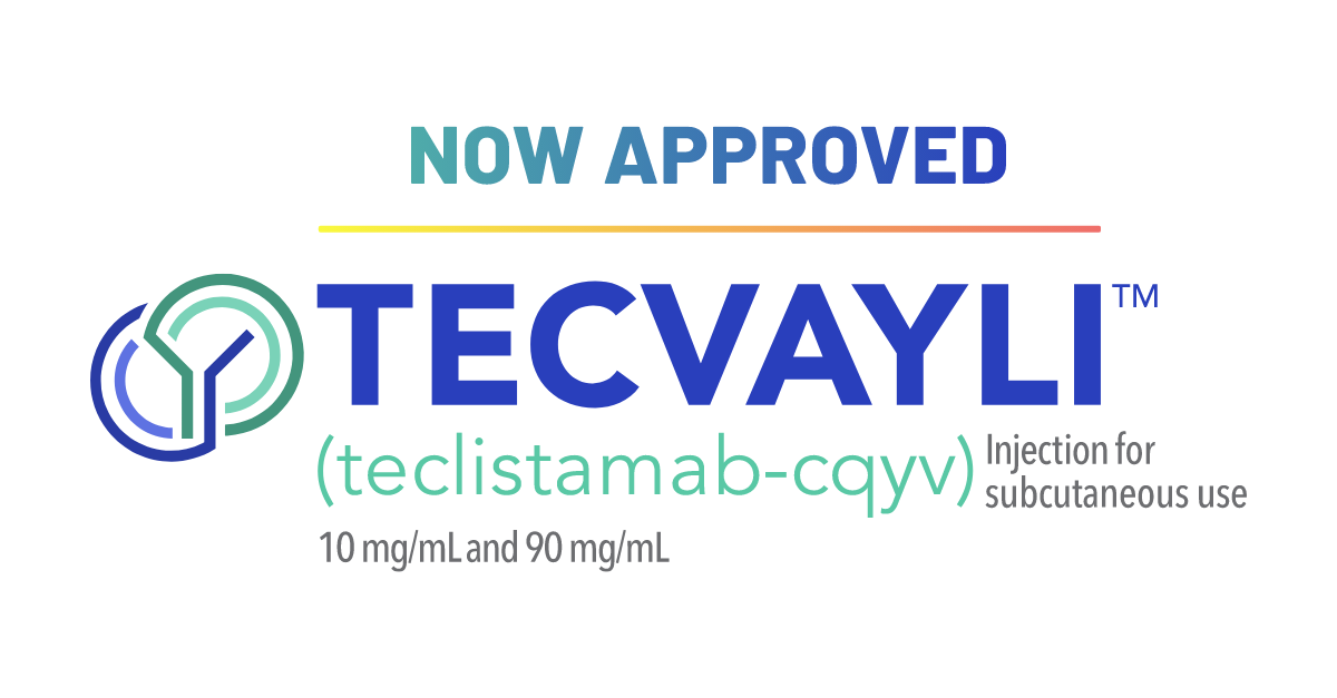 TECVAYLI Brand Kit And Logos