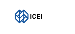 ICEI Brand Kit And Logos