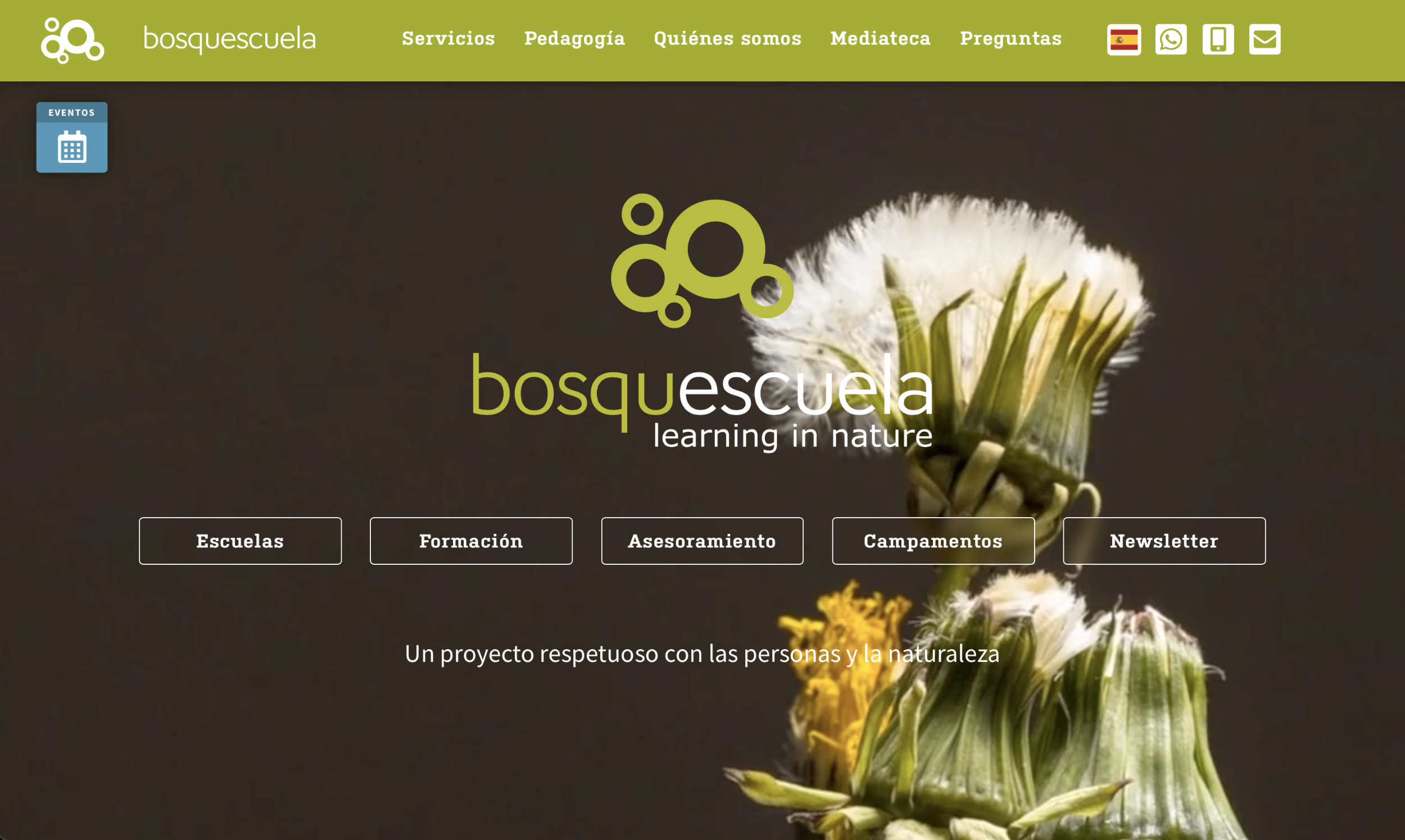 Bosquescuela – Learning In Nature Brand Kit And Logos