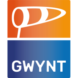 Gwynt Brand Kit And Logos