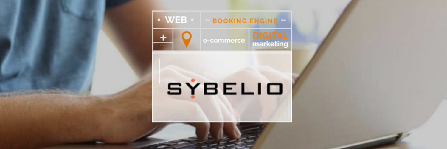 Sybelio Brand Kit And Logos