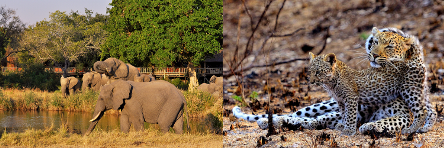 Far and Wild Safaris cc Brand Kit And Logos