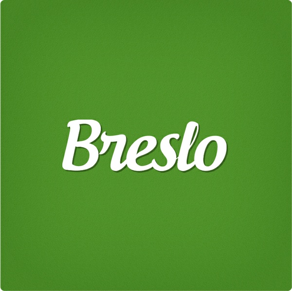 Breslo Brand Kit And Logos