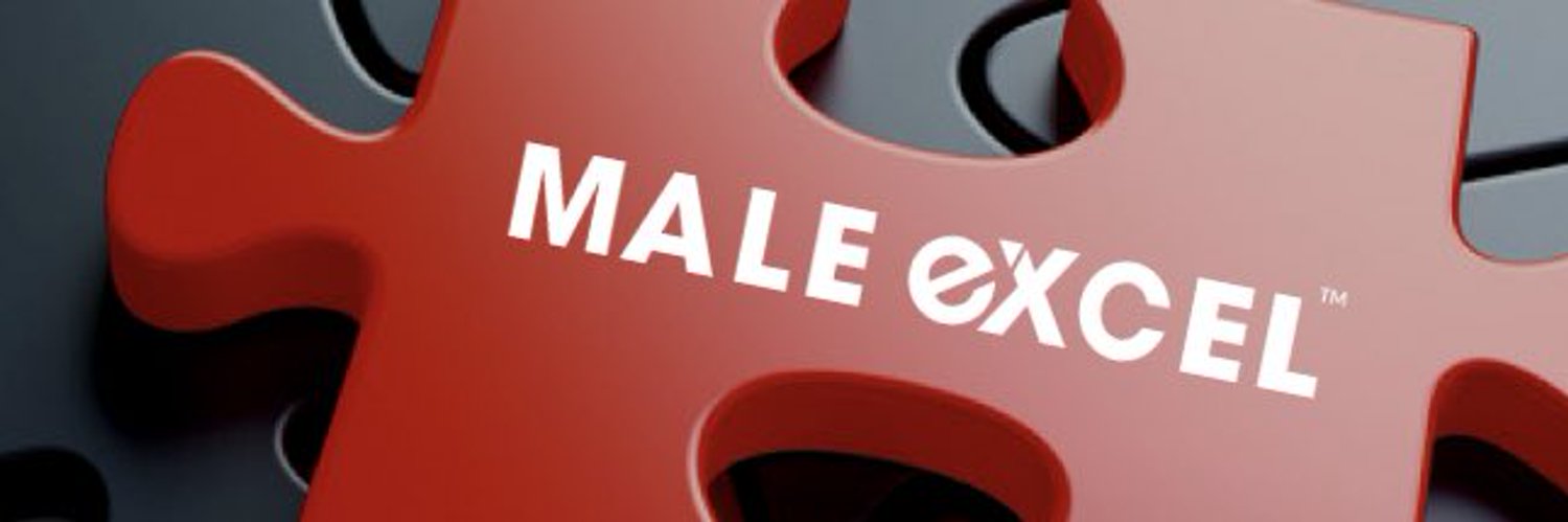 Male Excel Brand Kit And Logos