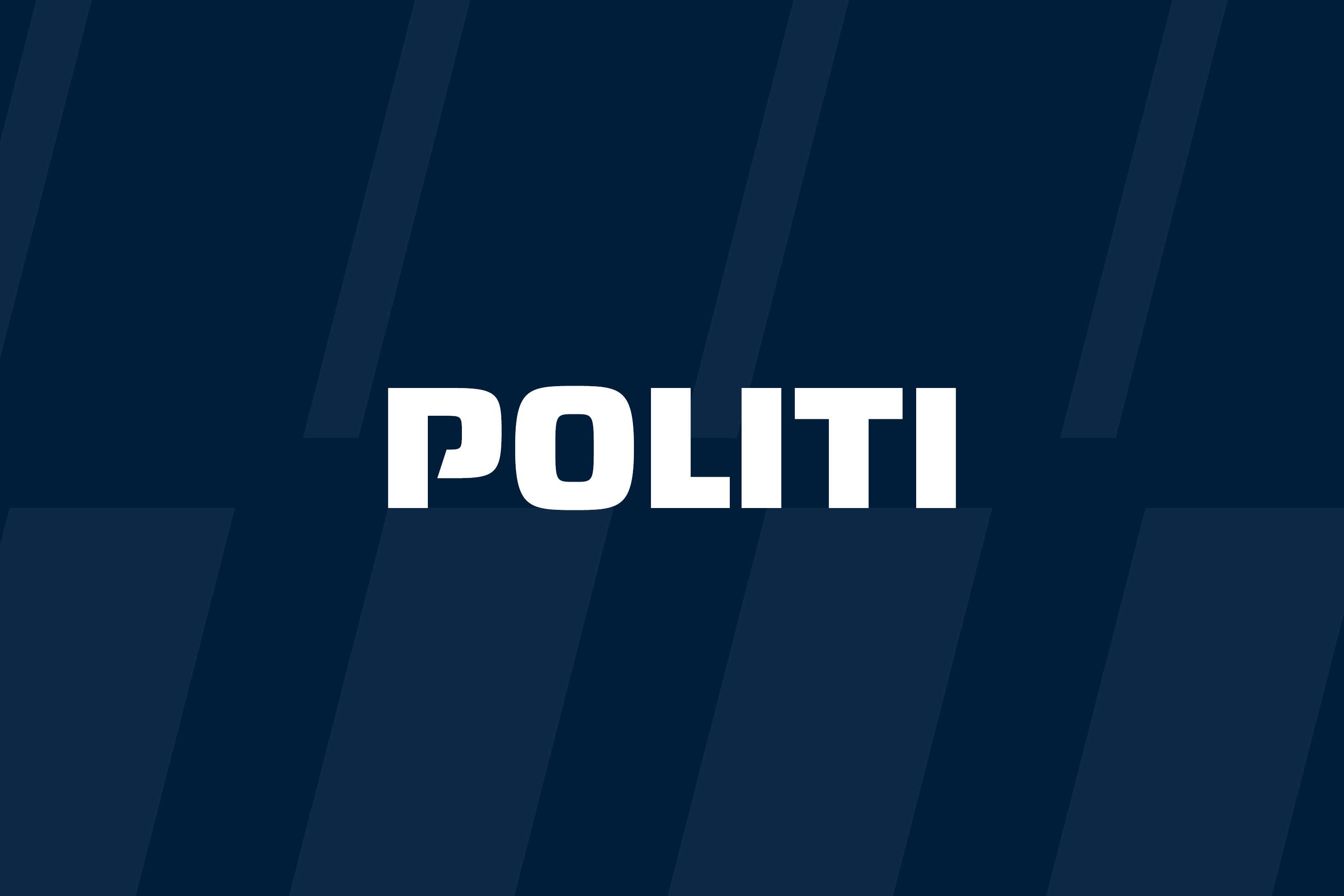 Politi Brand Kit And Logos