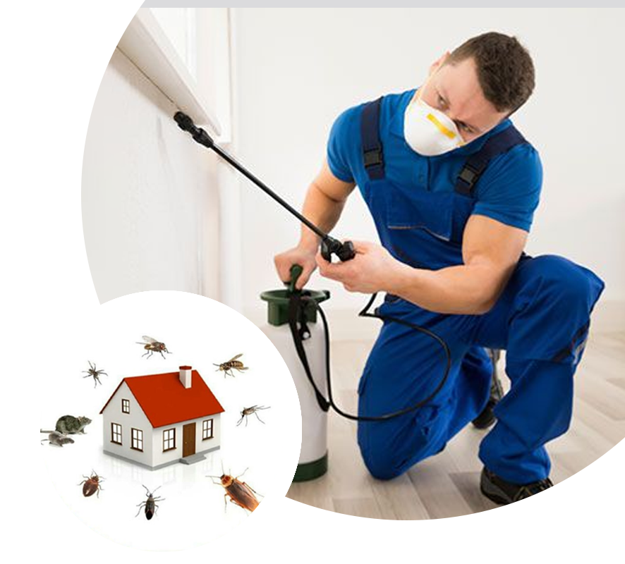 Ulhasnagar Pest Control Brand Kit And Logos