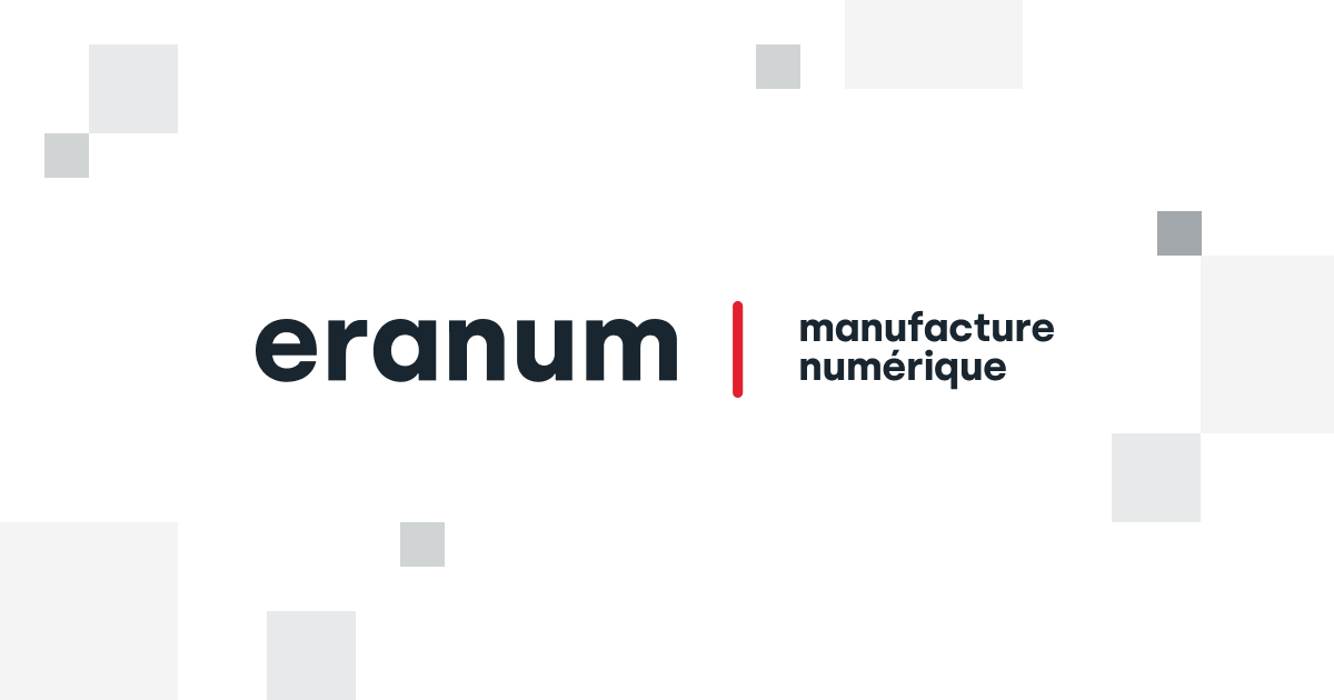 Eranum Brand Kit And Logos