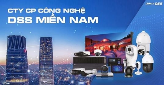 DSS Miền Nam - Nhà Phân Phối Chính Thức Các Sản Phẩm Công Nghệ IT CCTV Việt Nam Brand Kit And Logos