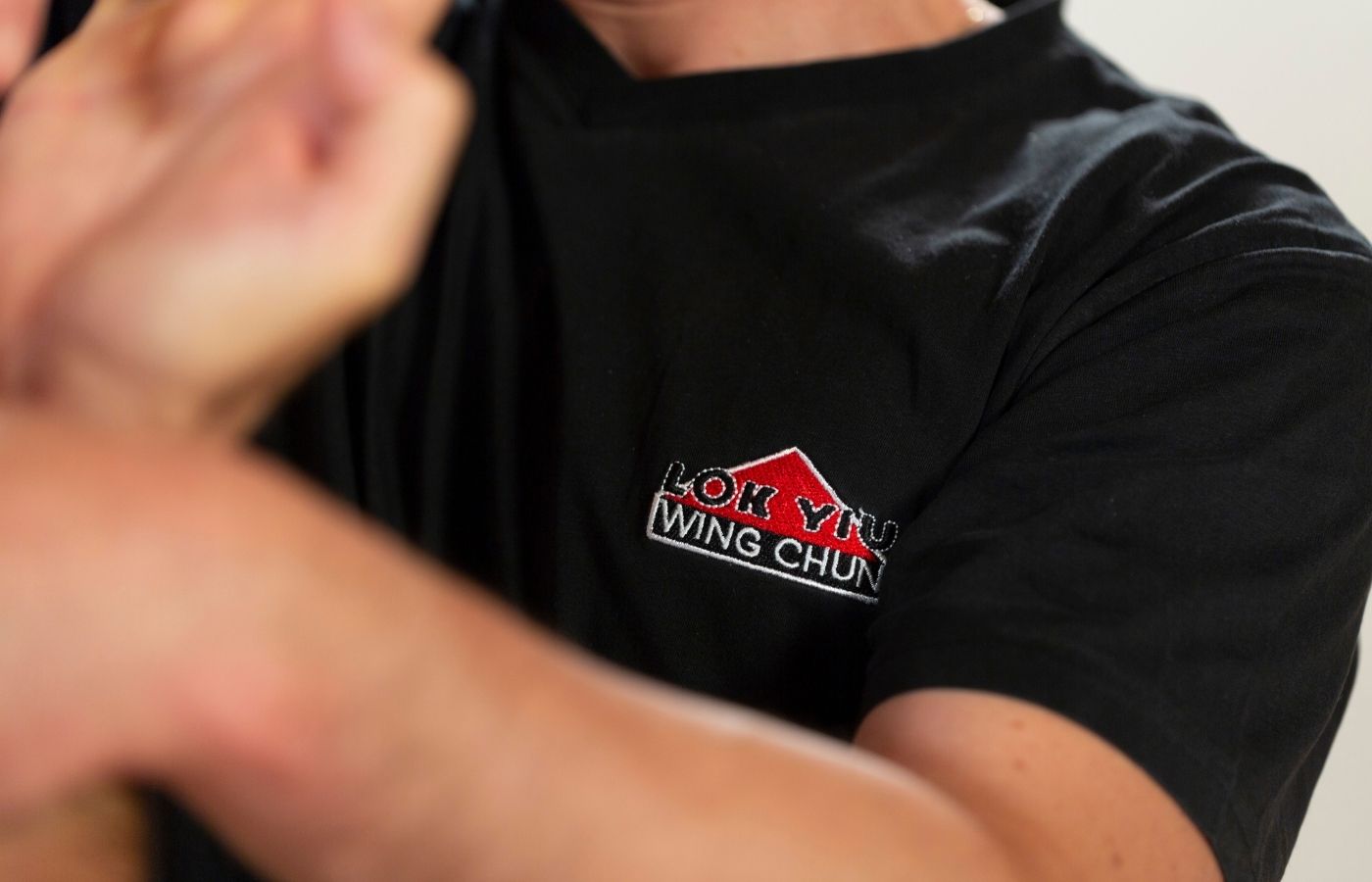 Lok Yiu Wing Chun Switzerland Brand Kit And Logos