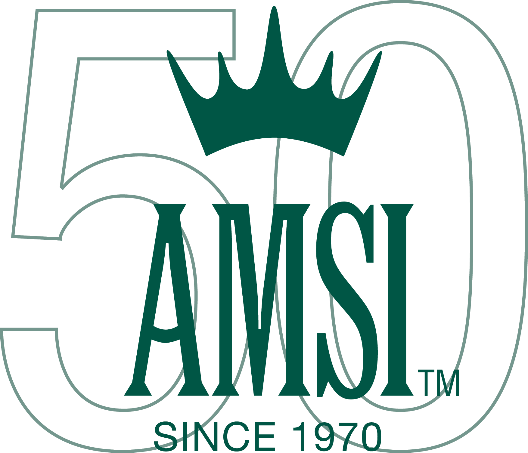 Amsires.com Brand Kit And Logos