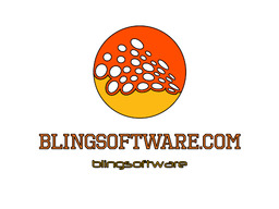 Blingsoftware.com Brand Kit And Logos