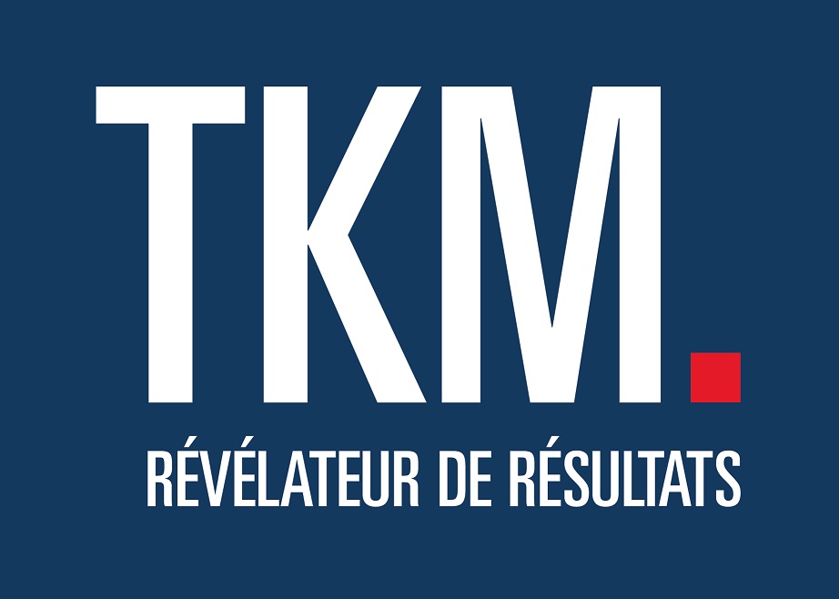 TKM Consulting Brand Kit And Logos