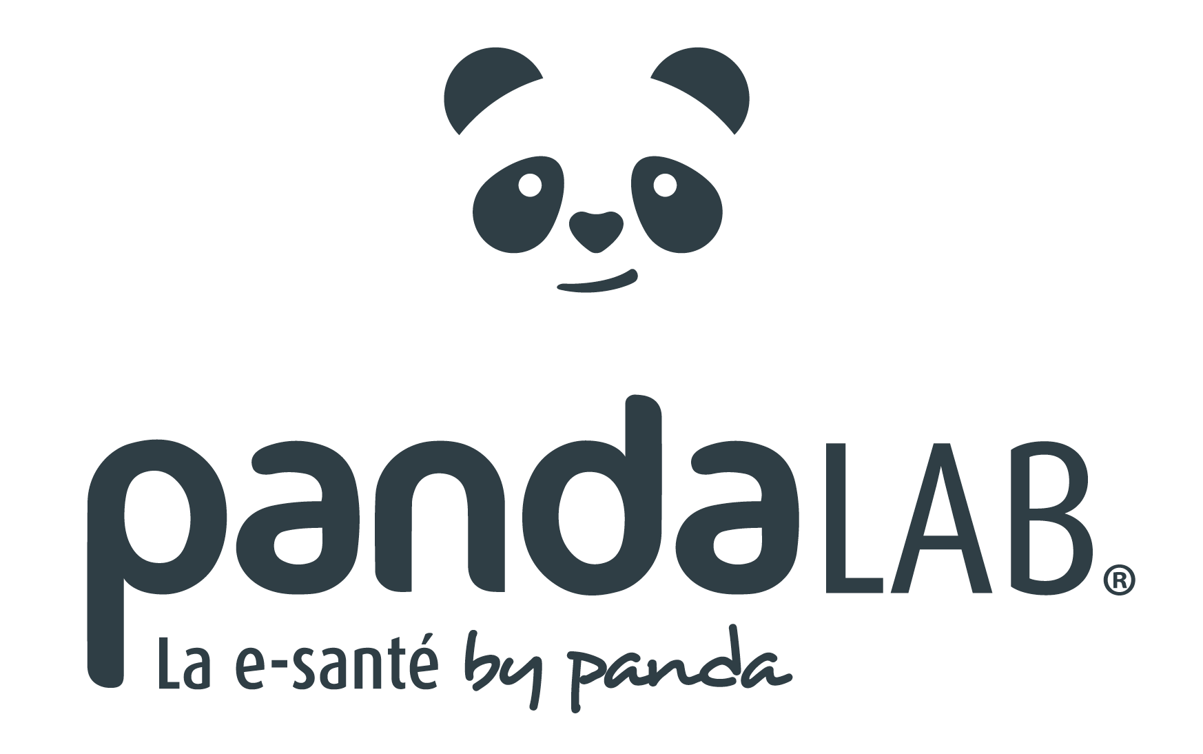 PandaLab Brand Kit And Logos