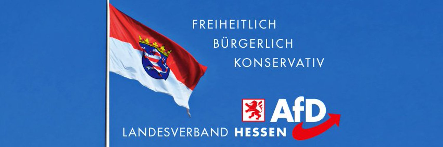 AfD Hessen Brand Kit And Logos