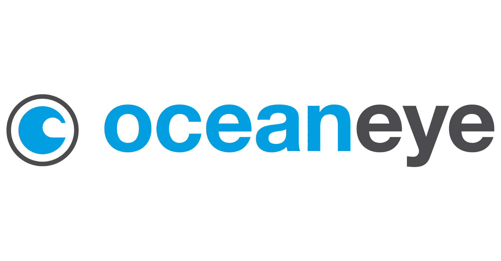 Oceaneye.ch Brand Kit And Logos