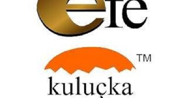 Efekulucka.com Brand Kit And Logos