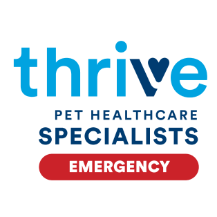 ER Vet Miami | Thrive Pet Healthcare Specialists Miami Brand Kit And Logos