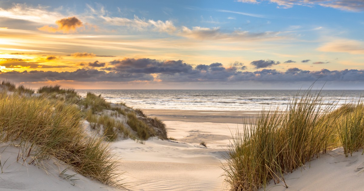 Hotel In Egmond Brand Kit And Logos