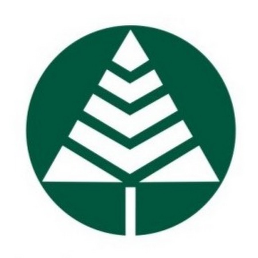 Snavely Forest Products Brand Kit And Logos