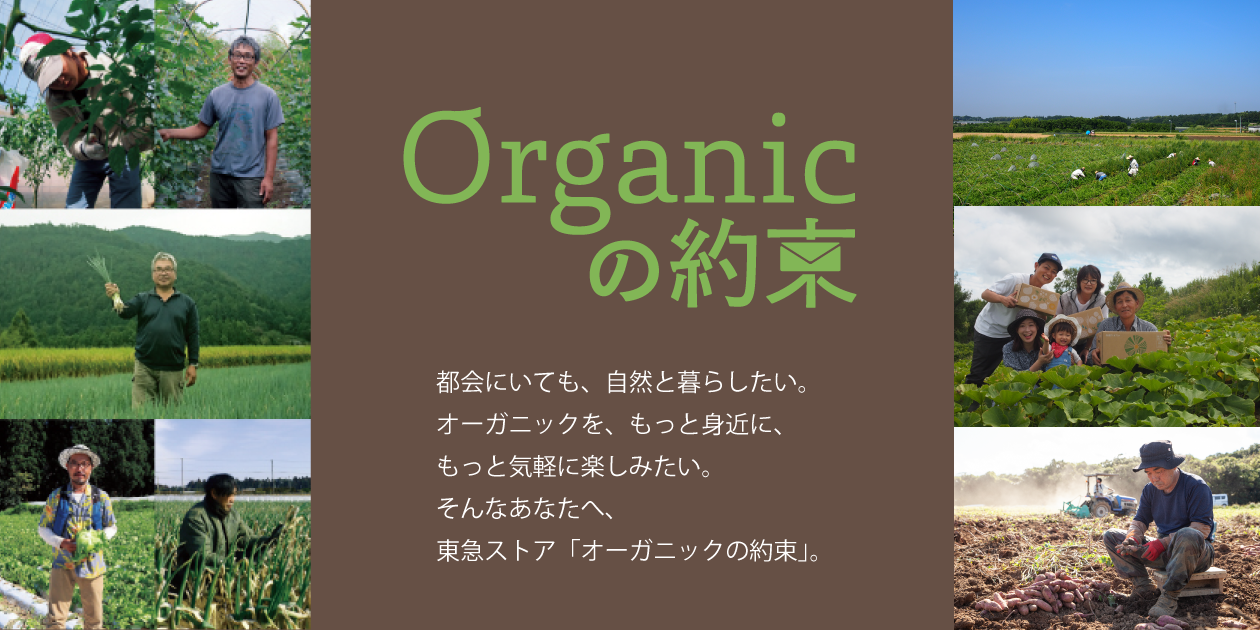 Organicの約束 Brand Kit And Logos