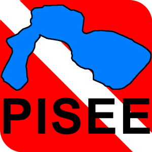 Pisee.at Brand Kit And Logos