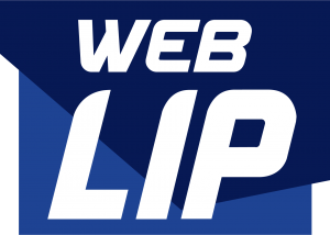 Web LIP Brand Kit And Logos