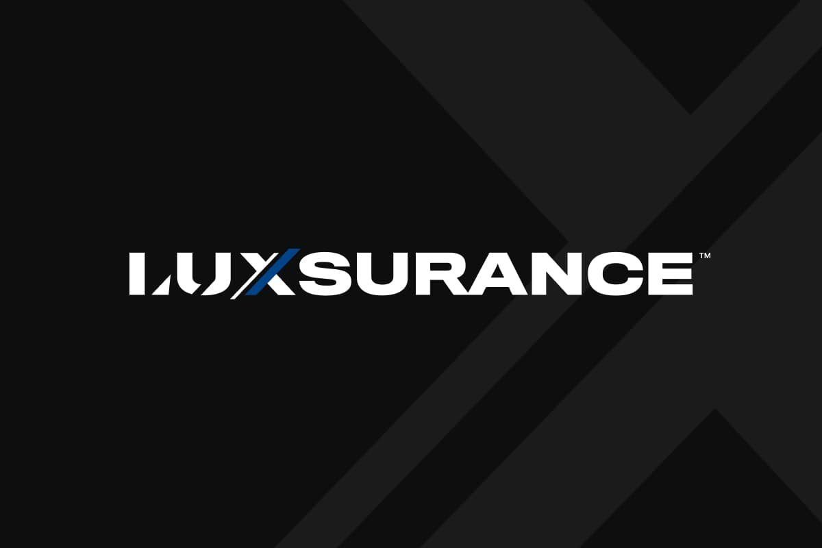 Luxsurance Brand Kit And Logos