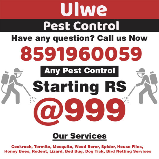 Ulwe Pest Control Brand Kit And Logos