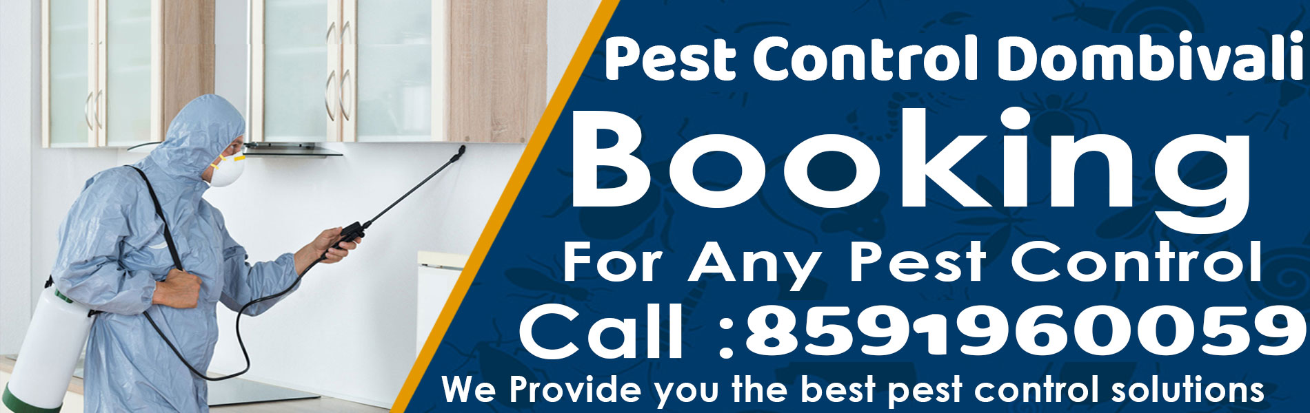 Dombivli Pest Control Brand Kit And Logos