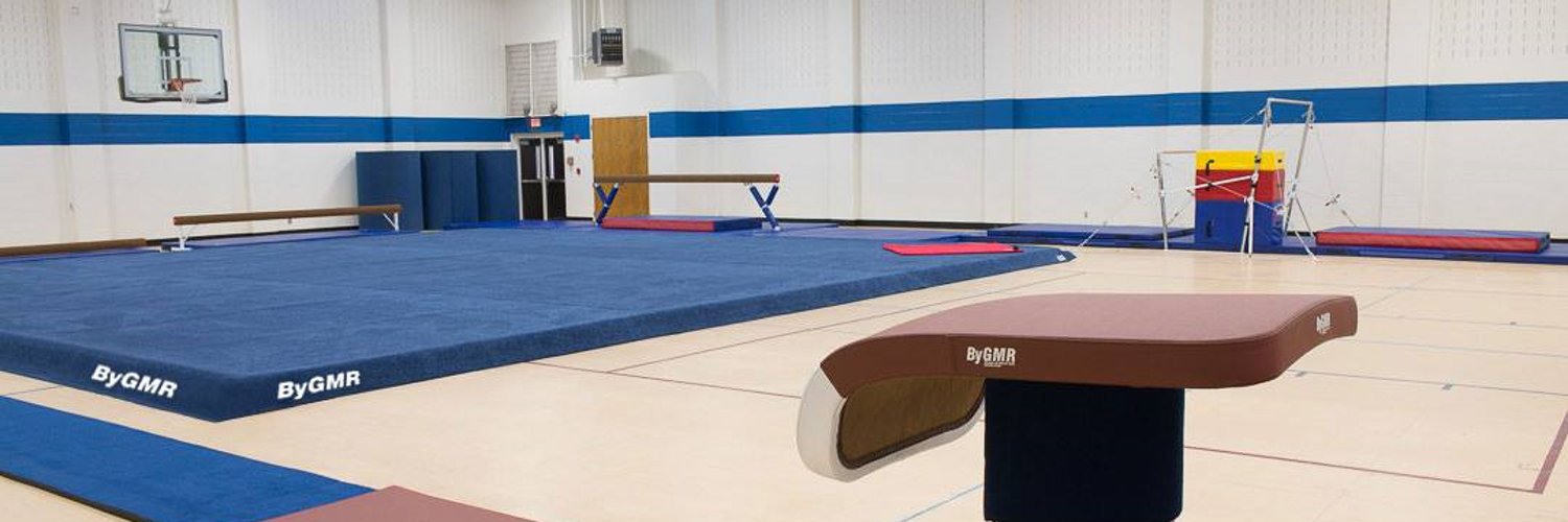 GMR Gymnastics Sales Brand Kit And Logos