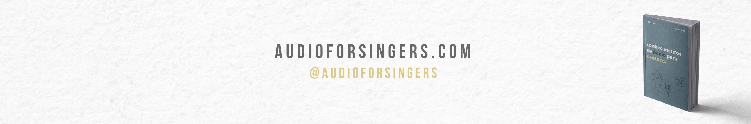 Audio For Singers Brand Kit And Logos