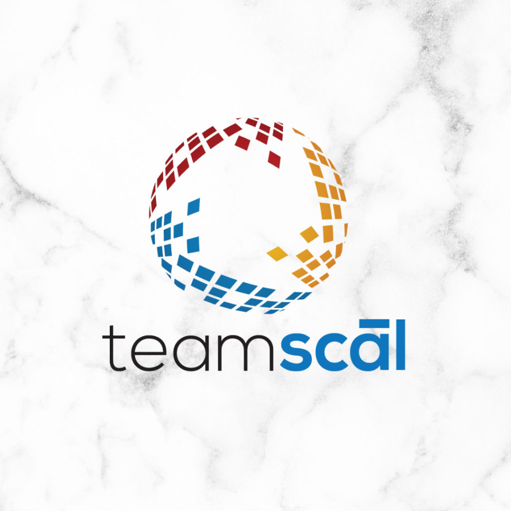 Teamscal.com Brand Kit And Logos