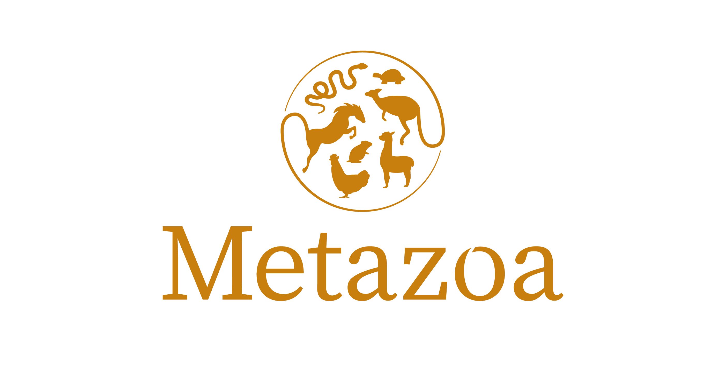 Metazoa Brand Kit And Logos