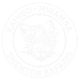 Shenton Safaris Brand Kit And Logos