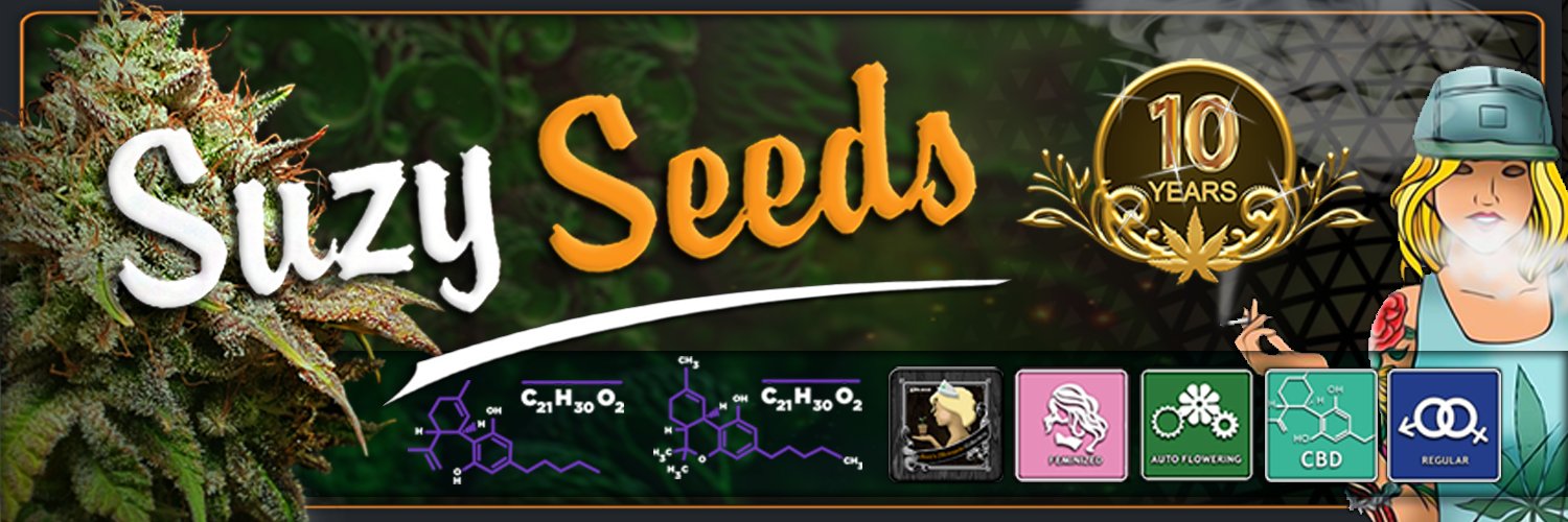 SuzySeeds Brand Kit And Logos