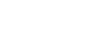 DS Expertise Brand Kit And Logos