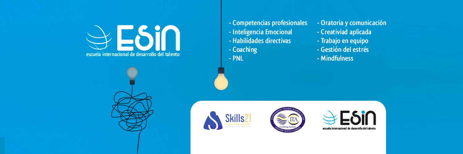 Esin | Escuela Internacional De Desarrollo Del Talento Brand Kit And Logos