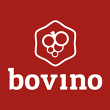 Bovino Brand Kit And Logos