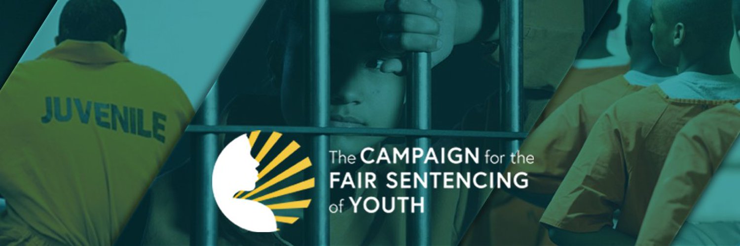 Campaign For The Fair Sentencing Of Youth | CFSY Brand Kit And Logos