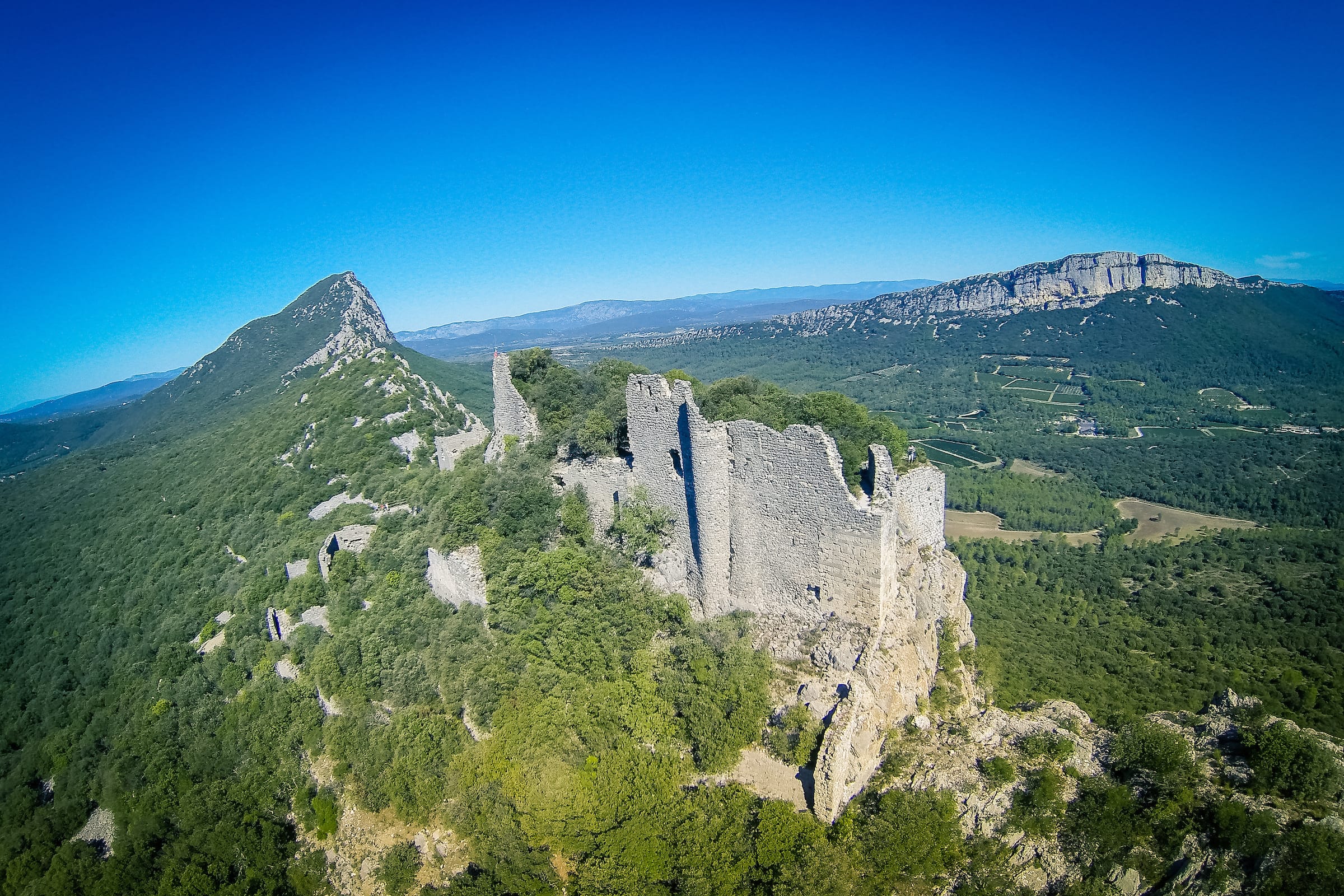 Grand Pic Saint-Loup Brand Kit And Logos