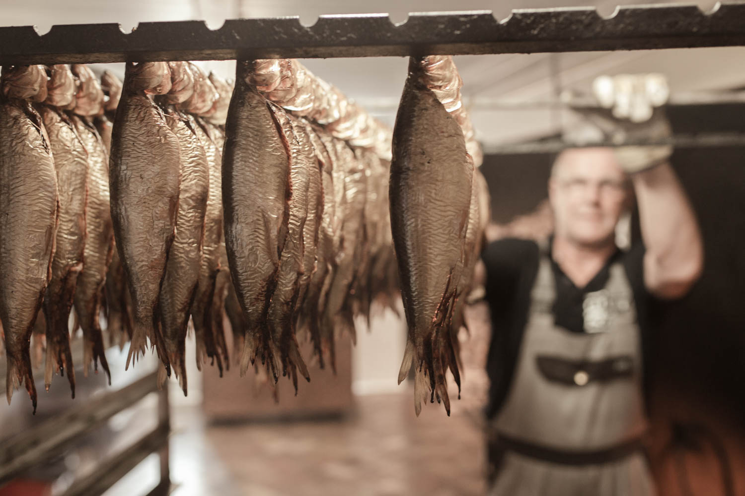 Smoked Fish Brand Kit And Logos