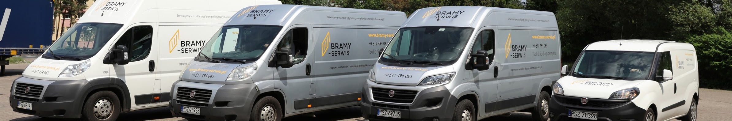 Bramy-serwis.pl Brand Kit And Logos